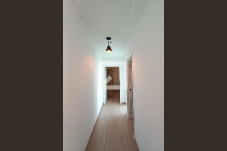 Corredor de apartamento para alugar com 2 quartos, 43m² em Jardim Ibirapuera, Campinas