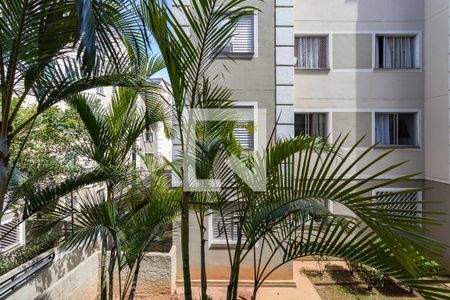 Vista do Quarto de apartamento para alugar com 2 quartos, 47m² em Parque Munhoz, São Paulo