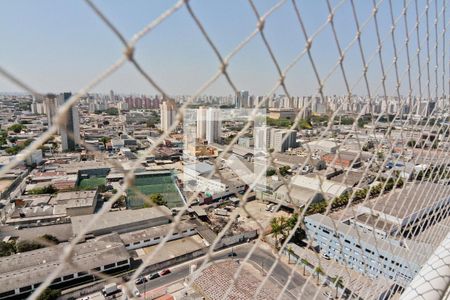 Vista de apartamento para alugar com 2 quartos, 60m² em Jardim Pereira Leite, São Paulo