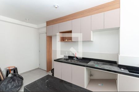 Cozinha Americana de apartamento para alugar com 2 quartos, 39m² em Barra Funda, São Paulo