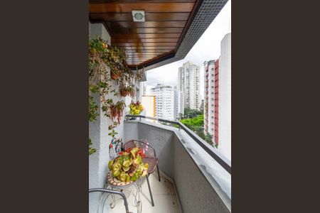 Sacada de apartamento à venda com 3 quartos, 116m² em Vila Mascote, São Paulo