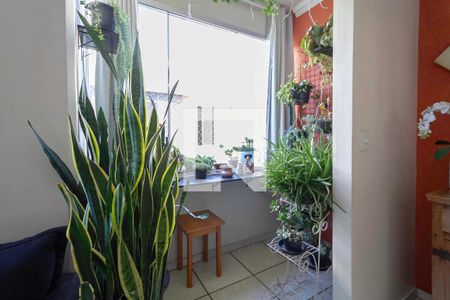 Sala de apartamento à venda com 3 quartos, 73m² em Ouro Preto, Belo Horizonte