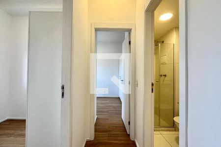 Corredor de apartamento para alugar com 2 quartos, 50m² em Vila Santa Catarina, São Paulo