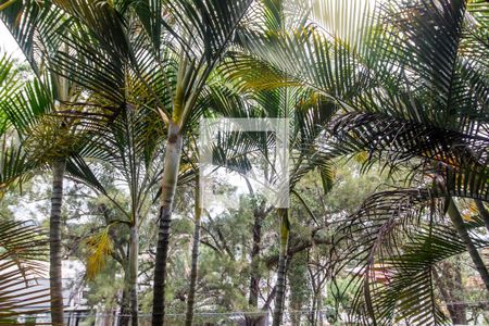 Vista de casa de condomínio para alugar com 4 quartos, 214m² em São Fernando Residencia, Barueri