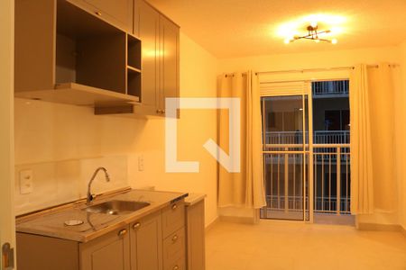 Sala/Cozinha de apartamento para alugar com 2 quartos, 35m² em Bom Retiro, São Paulo