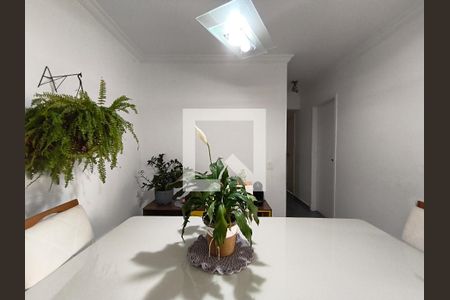 Sala de apartamento à venda com 3 quartos, 86m² em Cambuci, São Paulo
