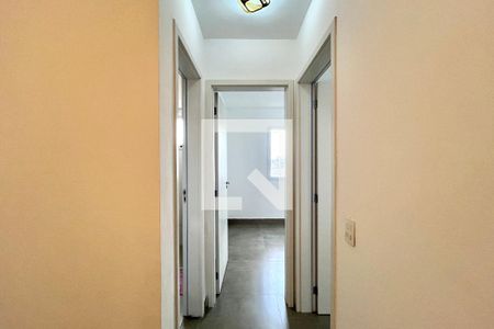 Corredor de apartamento para alugar com 2 quartos, 55m² em Vila Santa Catarina, São Paulo