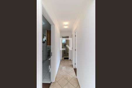 Corredor de apartamento para alugar com 2 quartos, 40m² em Campos Elíseos, São Paulo