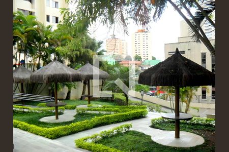 Apartamento para alugar com 3 quartos, 72m² em Vila Sofia, São Paulo