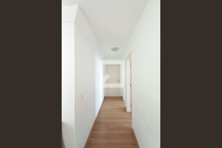 Corredor de apartamento à venda com 2 quartos, 54m² em Jardim Aurelia, Campinas