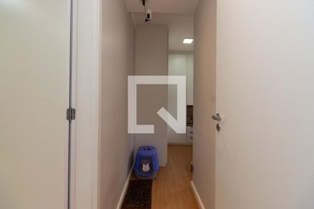 Corredor de apartamento para alugar com 2 quartos, 59m² em Cambuci, São Paulo