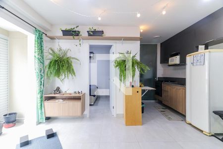 Sala de apartamento para alugar com 1 quarto, 39m² em Vila Sonia, São Paulo