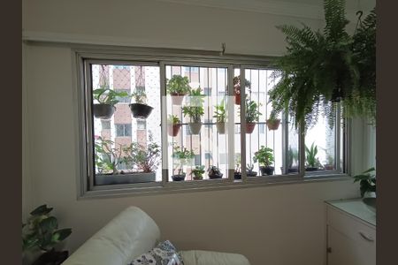 Sala de apartamento para alugar com 3 quartos, 90m² em Vila Clementino, São Paulo