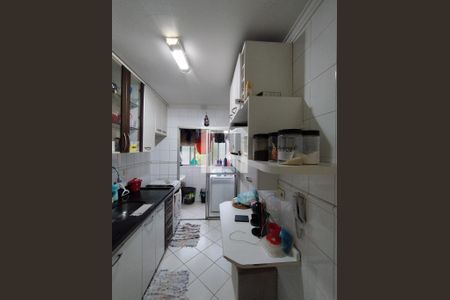 Cozinha - Armários de apartamento à venda com 2 quartos, 57m² em Vila das Merces, São Paulo