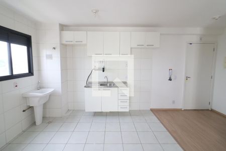 Cozinha e Área de Serviço de apartamento para alugar com 1 quarto, 38m² em Presidente Altino, Osasco
