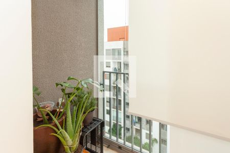 Varanda da Sala de apartamento à venda com 3 quartos, 58m² em Usina Piratininga, São Paulo