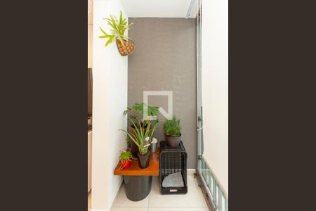 Varanda da Sala de apartamento à venda com 3 quartos, 58m² em Usina Piratininga, São Paulo