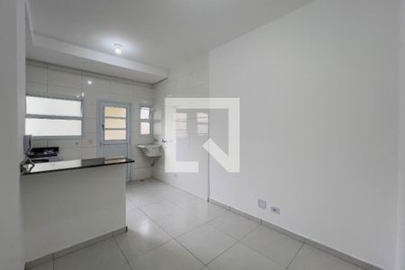 Sala e cozinha de apartamento para alugar com 1 quarto, 28m² em Ipiranga, São Paulo