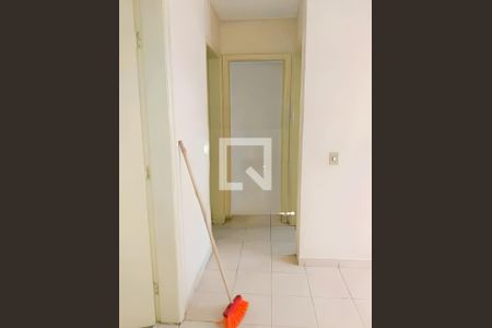 Corredor de apartamento para alugar com 2 quartos, 47m² em Xodó Marize, Belo Horizonte