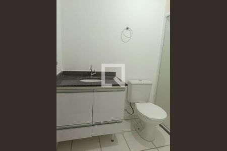 Banheiro de apartamento para alugar com 3 quartos, 80m² em Mooca, São Paulo