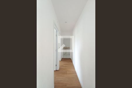 Corredor de apartamento para alugar com 2 quartos, 43m² em Jardim Irene, Campinas