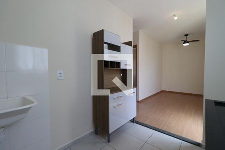 Cozinha de apartamento para alugar com 2 quartos, 44m² em Recreio das Acacias, Ribeirão Preto