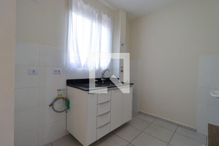 Cozinha de apartamento para alugar com 2 quartos, 44m² em Recreio das Acacias, Ribeirão Preto