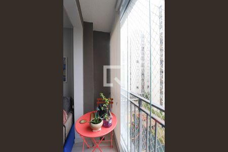 Apartamento à venda com 2 quartos, 36m² em Vila Guilherme, São Paulo