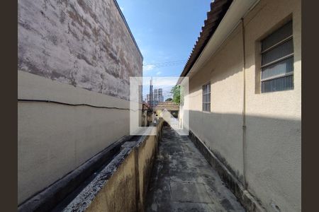 Quintal  de casa à venda com 4 quartos, 300m² em Vila Moinho Velho, São Paulo