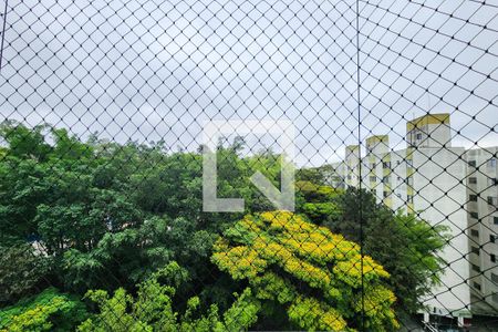 Vista de apartamento à venda com 3 quartos, 73m² em Vila Conceicao, Diadema