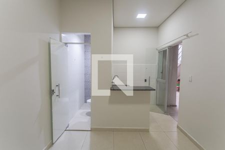 Sala/Quarto de kitnet/studio para alugar com 1 quarto, 20m² em Santo Andre, Belo Horizonte