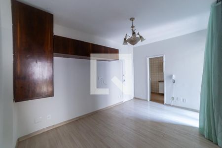 Sala de apartamento à venda com 1 quarto, 45m² em Santo Antônio, Belo Horizonte