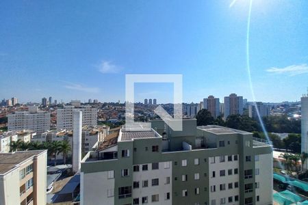 Vista do Quarto de apartamento à venda com 2 quartos, 47m² em Jardim Nova Europa, Campinas