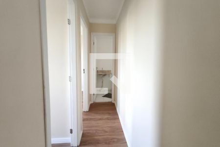 Corredor de apartamento para alugar com 2 quartos, 43m² em Jardim Irene, Campinas