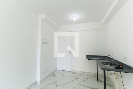 Cozinha de apartamento para alugar com 1 quarto, 29m² em Brás, São Paulo