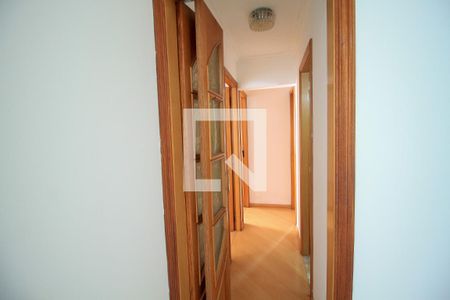 Corredor de apartamento para alugar com 3 quartos, 73m² em Belenzinho, São Paulo