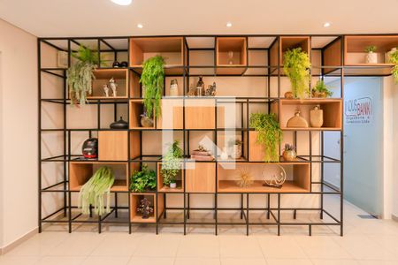 Casa à venda com 2 quartos, 442m² em Cidade dos Bandeirantes, São Paulo