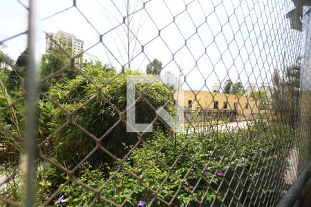 Vista da Varanda de apartamento para alugar com 3 quartos, 80m² em Chácara Agrindus, Taboão da Serra
