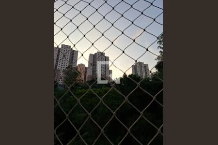 Vista do Quarto 1 de apartamento para alugar com 2 quartos, 45m² em Jardim Maria Rosa, Taboão da Serra