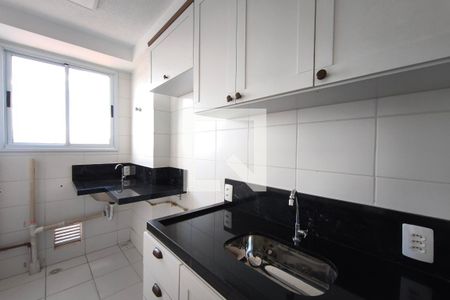 Cozinha de apartamento para alugar com 2 quartos, 45m² em Vila Palacios, Campinas