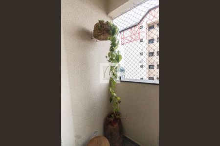 v de apartamento à venda com 3 quartos, 65m² em Parque Mandaqui, São Paulo