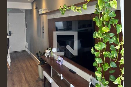Sala de apartamento para alugar com 2 quartos, 54m² em Casa Branca, Santo André