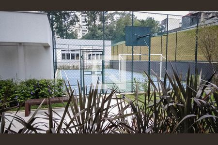 Quadra Esportiva de apartamento para alugar com 2 quartos, 73m² em Vila Suzana, São Paulo