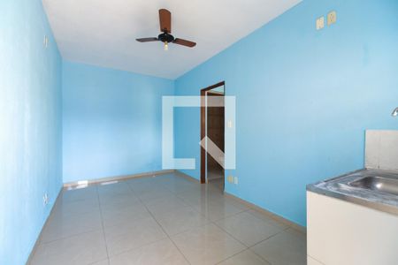 Cozinha de casa para alugar com 1 quarto, 16m² em Vila Santa Teresinha, São Paulo