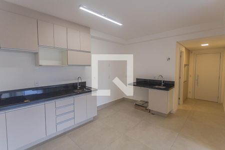 Sala/Cozinha/Área de Serviço de apartamento para alugar com 2 quartos, 70m² em Lourdes, Belo Horizonte