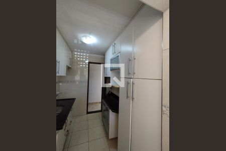 Cozinha - Armários de apartamento para alugar com 2 quartos, 54m² em Jardim Patente, São Paulo