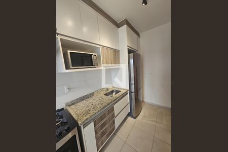 Cozinha de apartamento para alugar com 2 quartos, 55m² em Jardim Palma Travassos, Ribeirão Preto