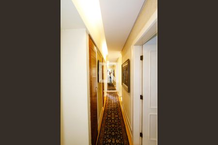 Corredor de apartamento para alugar com 4 quartos, 300m² em Santa Lúcia, Belo Horizonte