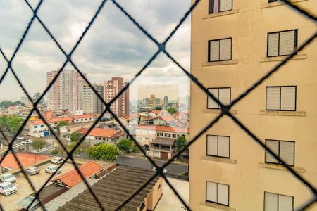 Apartamento para alugar com 2 quartos, 55m² em Vila Santa Catarina, São Paulo