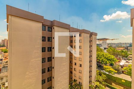 Apartamento para alugar com 2 quartos, 52m² em Vila Santa Catarina, São Paulo